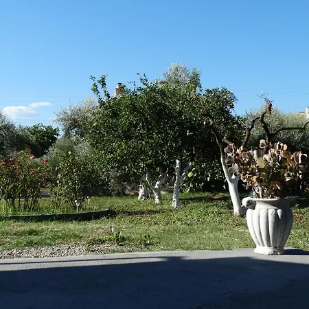 Stavi 2 卡拉马塔