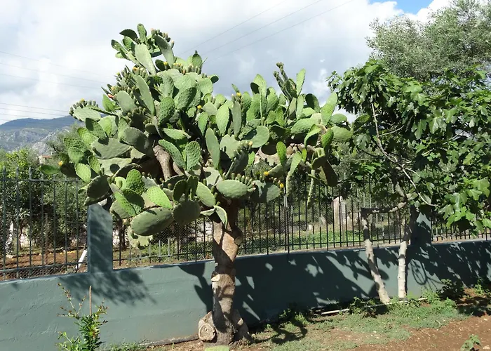 Stavi 2 Appartement *